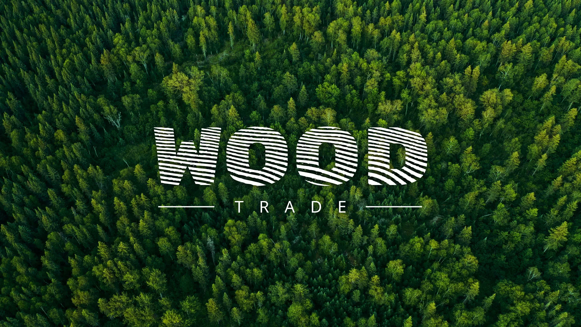 Разработка интернет-магазина компании «Wood Trade» в Болохово
